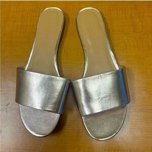 Banana Republic Slides